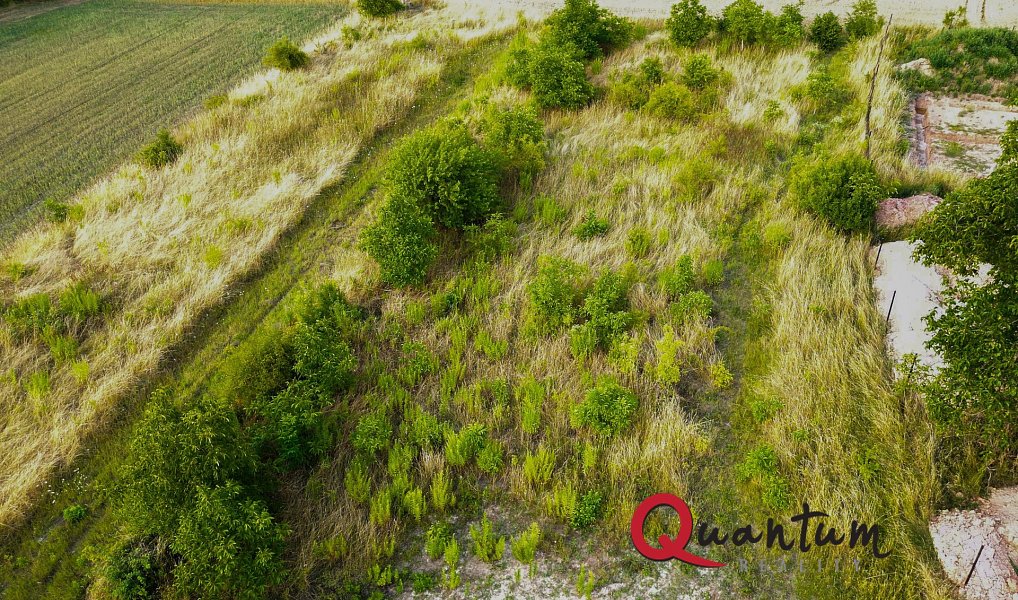 Prodej stavebního pozemku 2 715 m², Brandýsek – náhled fotky 10