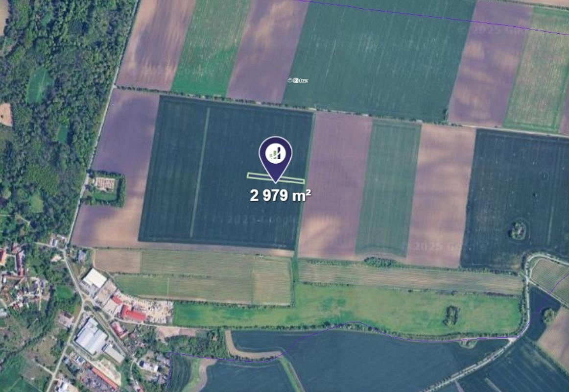 Prodej pole 2 979 m² – fotografie 2