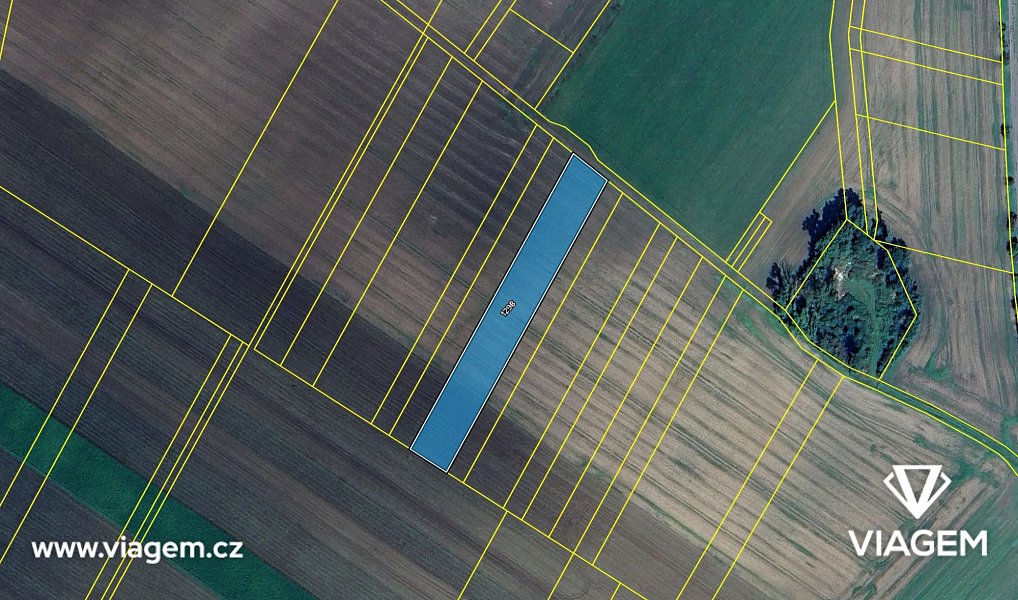 Prodej pole 980 m², Smidary – náhled fotky 4