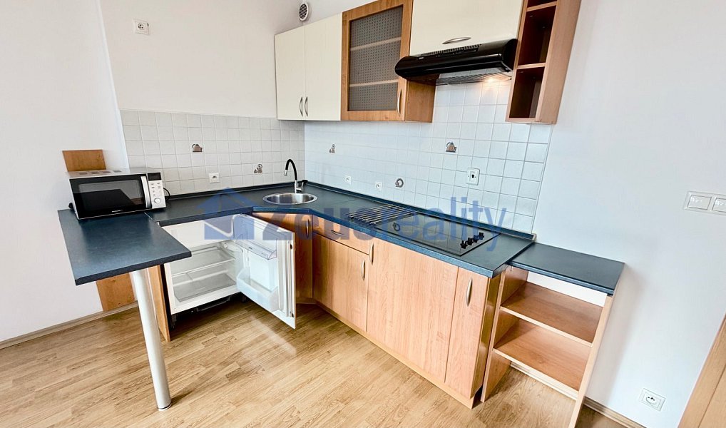Pronájem bytu 1+kk 44 m², Praha – náhled fotky 7