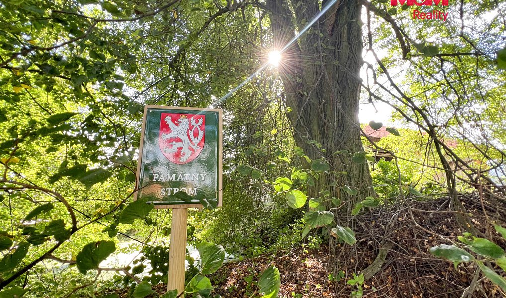 Prodej stavebního pozemku 16 025 m², Kostelec nad Černými lesy – náhled fotky 7
