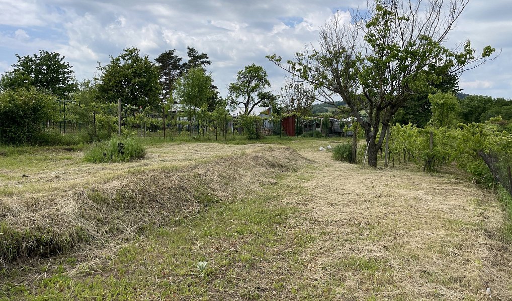 Prodej zahrady 935 m², Mikulov – náhled fotky 10