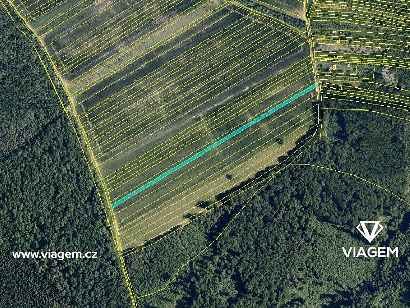 Prodej pole 3 478 m² – fotografie 3
