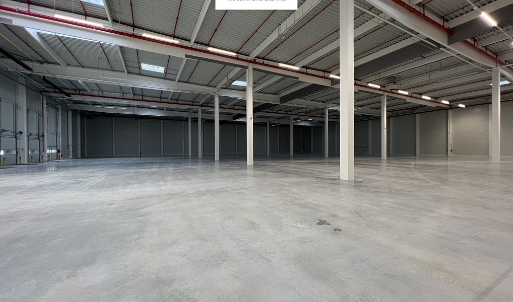 Pronájem skladovacích prostor 3 500 m², Myslinka – náhled fotky 7