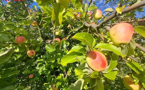 Prodej zahrady 300 m², Nad Hliníkem, Praha 5 - Košíře