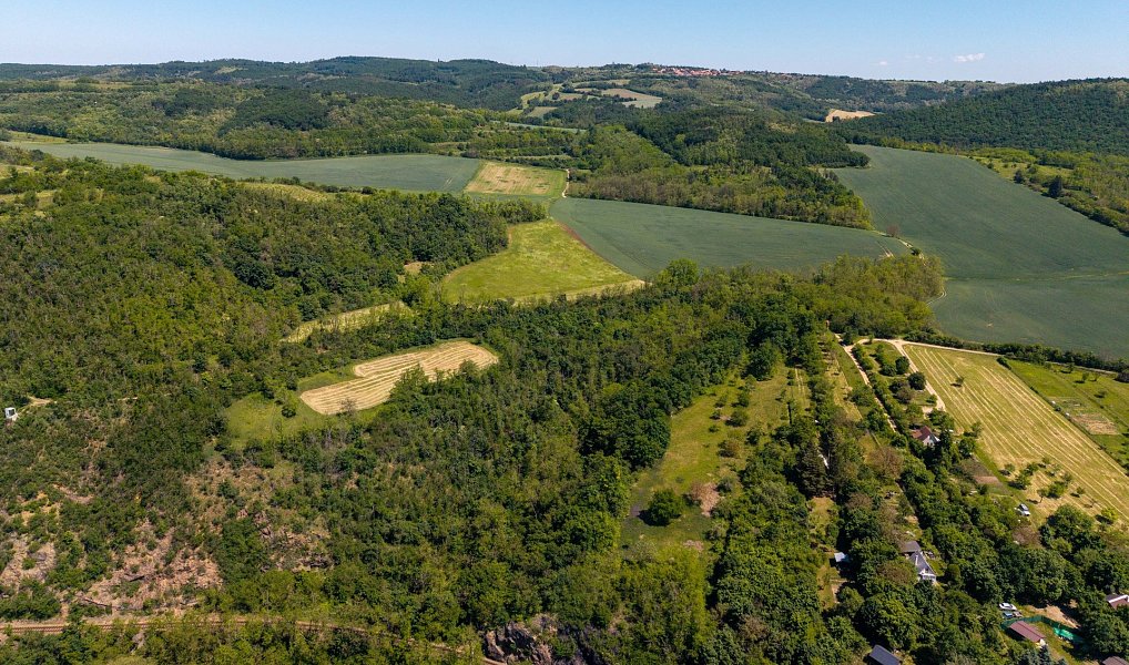 Prodej zahrady 8 724 m², Ivančice – náhled fotky 11