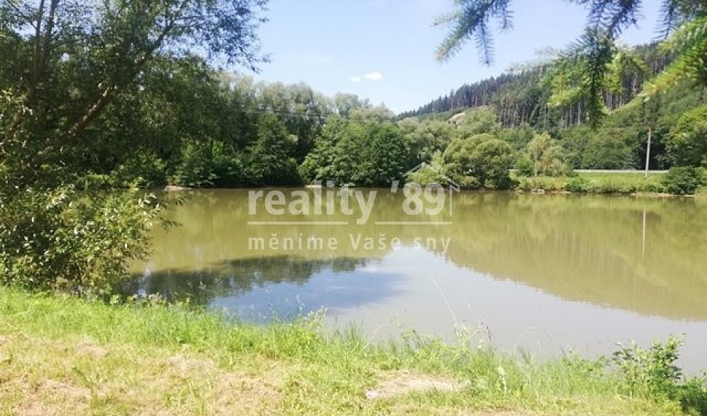 Prodej pozemku 40 629 m², Brumov-Bylnice – náhled fotky 5