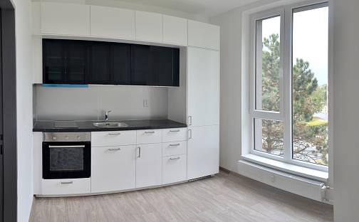Pronájem bytu 1+1 34 m², Paní Zdislavy, Česká Lípa