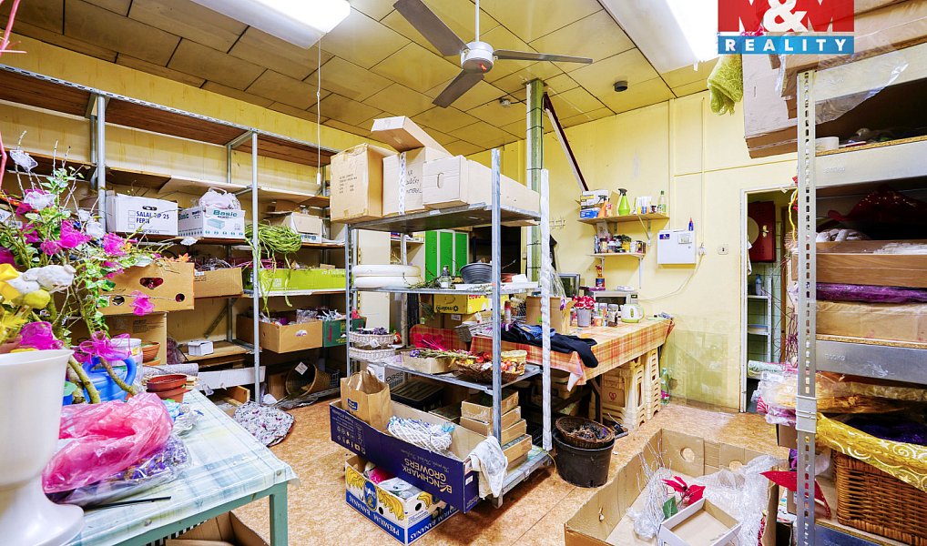 Pronájem obchodních prostor 133 m², Třemošná – náhled fotky 10