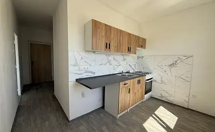 Pronájem bytu 2+1 55 m², Jaroslava Vrchlického, Most