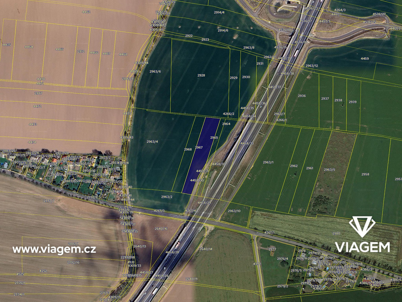 Prodej pole 350 m² – fotografie 4