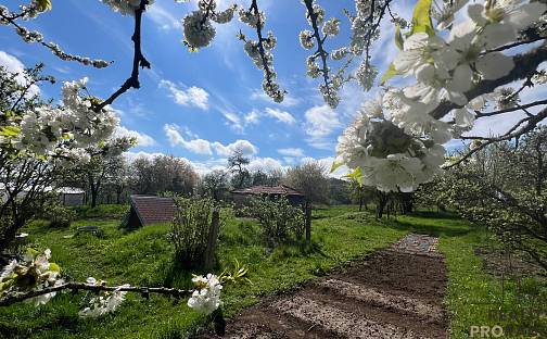 Prodej domu 100 m² s pozemkem 3 004 m², Svinošice, okres Blansko