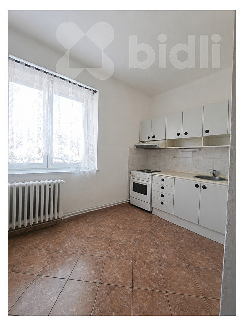 Pronájem bytu 1+1 40 m² — photo 2