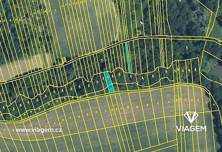 Prodej lesa 525 m² – pohled 4