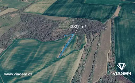 Prodej lesa 3 027 m², Bučovice, okres Vyškov