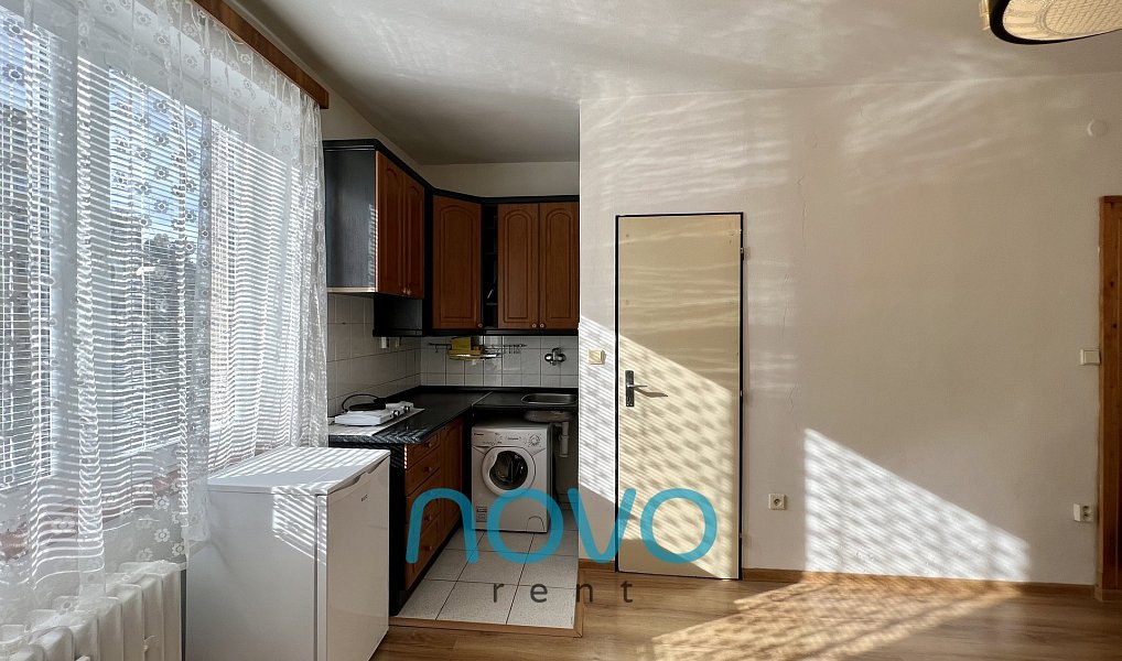Pronájem bytu 1+kk 21 m², Praha – náhled fotky 3