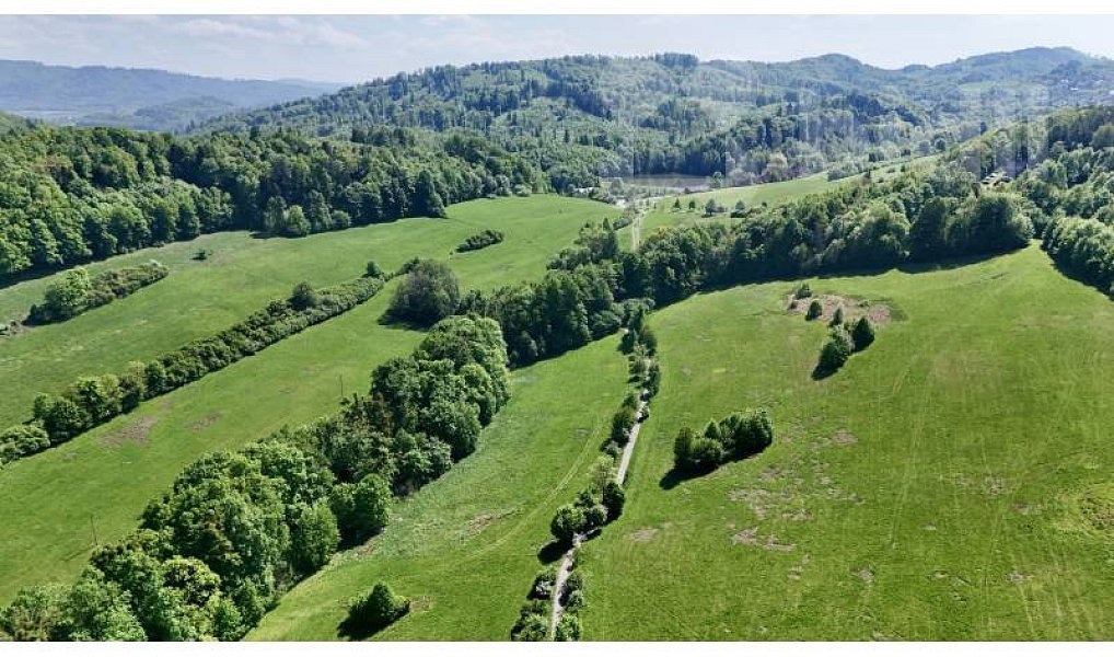 Prodej louky 7 411 m², Nový Jičín – fotka 1 z 5
