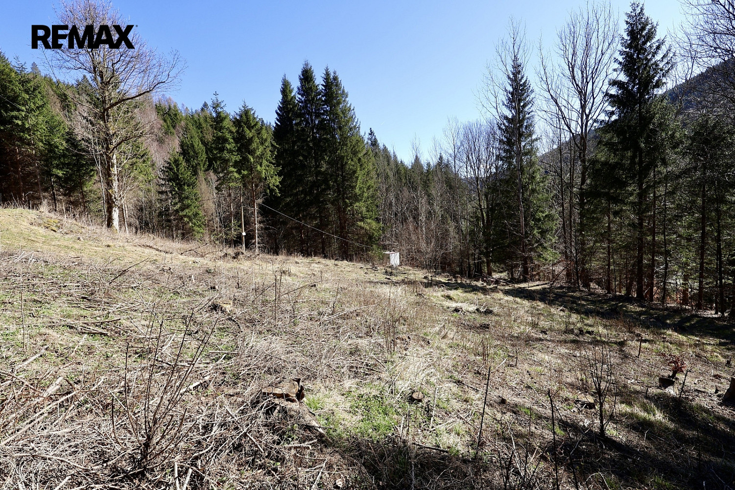 Prodej stavebního pozemku 7 880 m² — photo 2