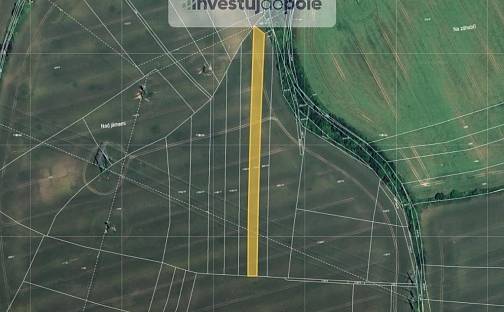 Prodej pole 2 796 m², Poříčany, okres Kolín