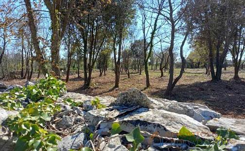 Prodej stavebního pozemku 3 153 m², Marčana, Chorvatsko