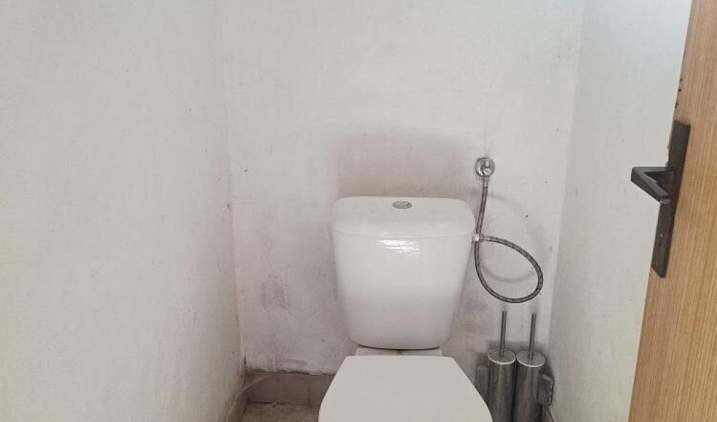 Prodej domu 250 m² s pozemkem 4 360 m², Loučany – náhled fotky 20