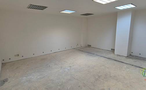 Pronájem skladovacích prostor 36 m², Parléřova, Praha 6 - Střešovice