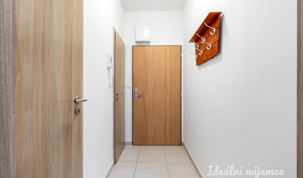 Pronájem bytu 1+kk 24 m², Praha – náhled fotky 8