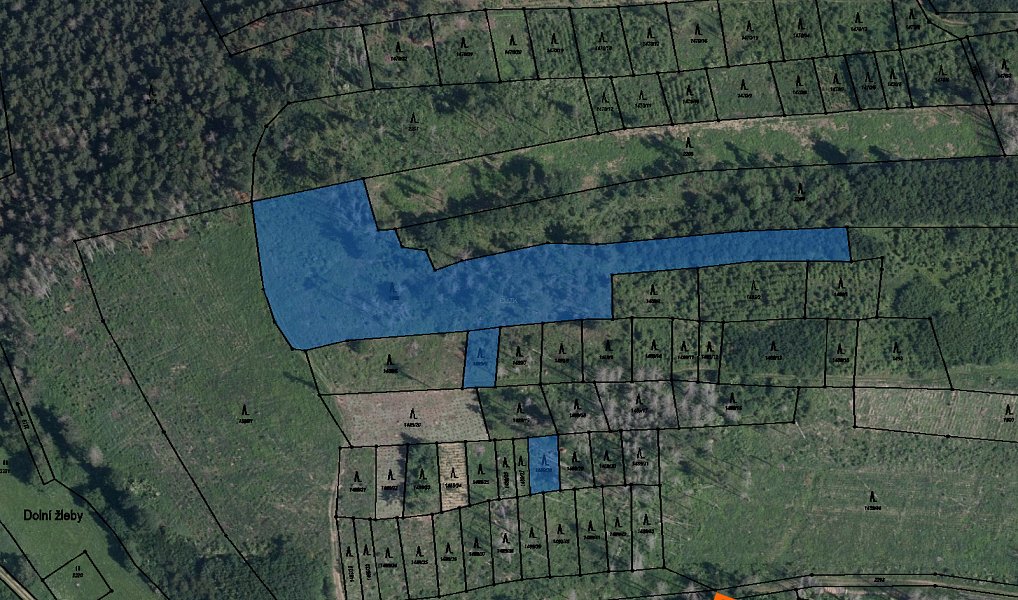 Prodej lesa 20 095 m², Radkovice u Budče – fotka 1 z 8