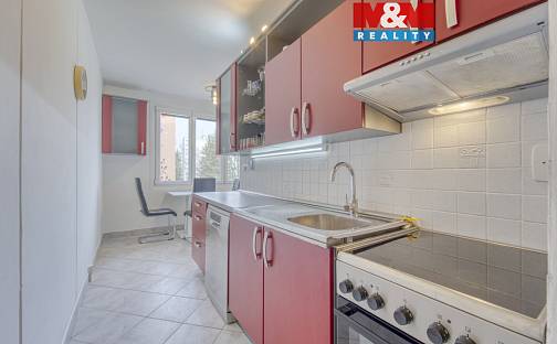 Pronájem bytu 3+1 77 m², Heyrovského, Plzeň - Doudlevce