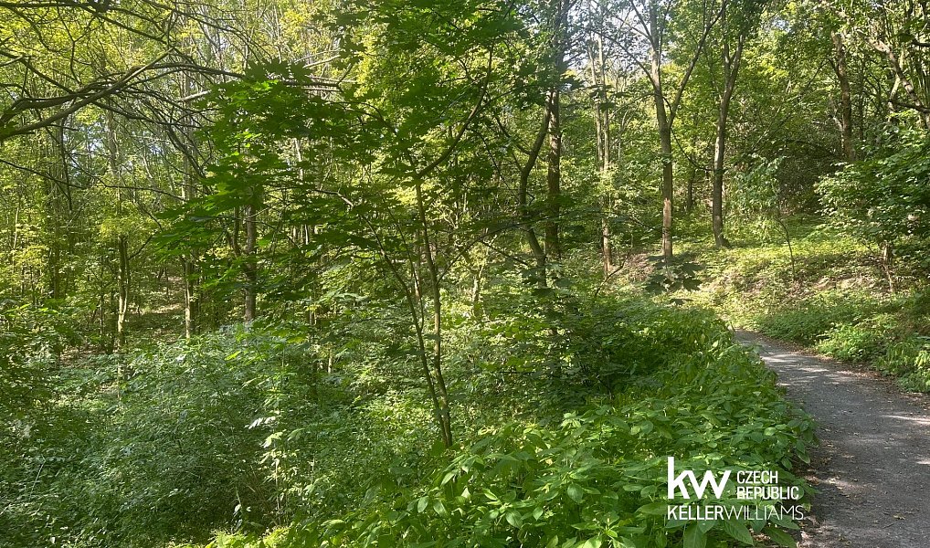 Prodej pozemku 22 760 m², Bílina – fotka 1 z 16
