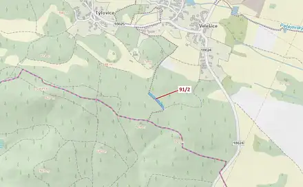 Dražba lesa 1 363 m², Pačejov