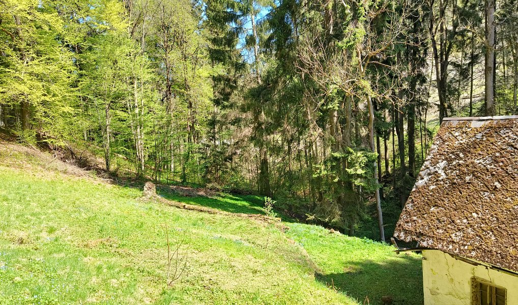 Prodej domu 110 m² s pozemkem 3 282 m², Koberovy – náhled fotky 4