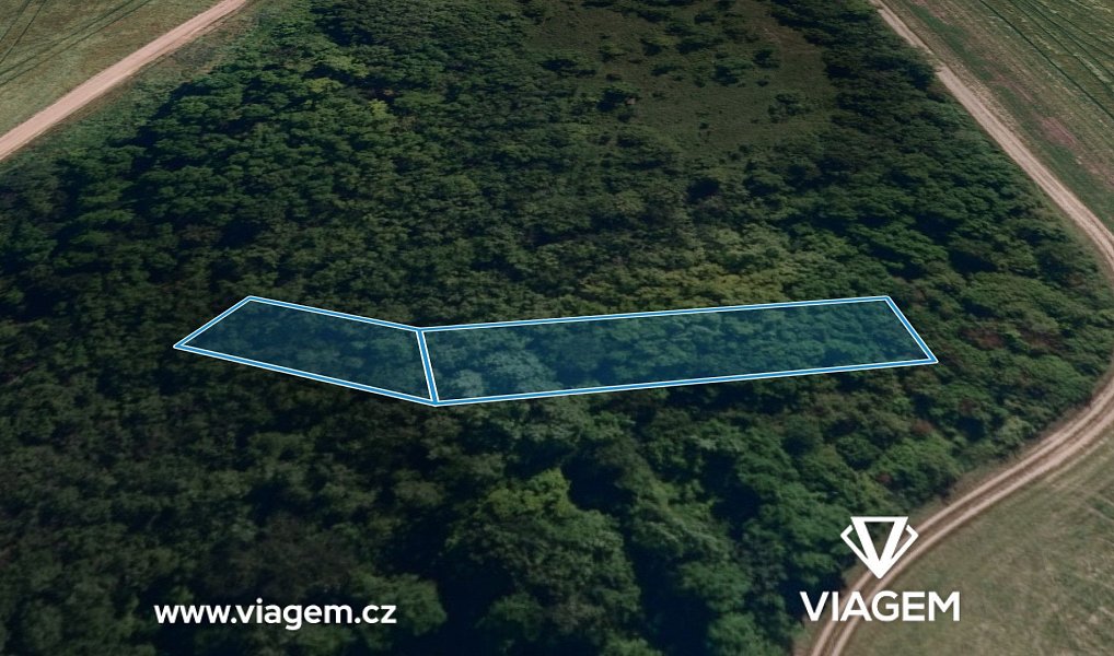 Prodej lesa 628 m², Lovčičky – náhled fotky 2