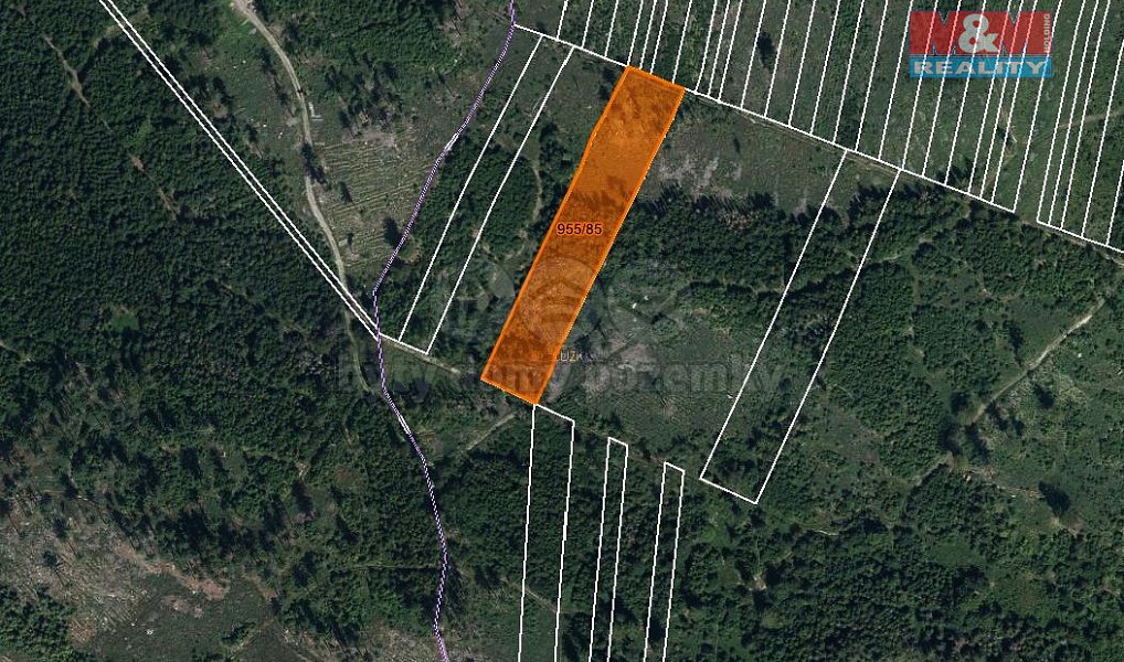 Prodej lesa 6 092 m², Nová Hradečná – náhled fotky 4
