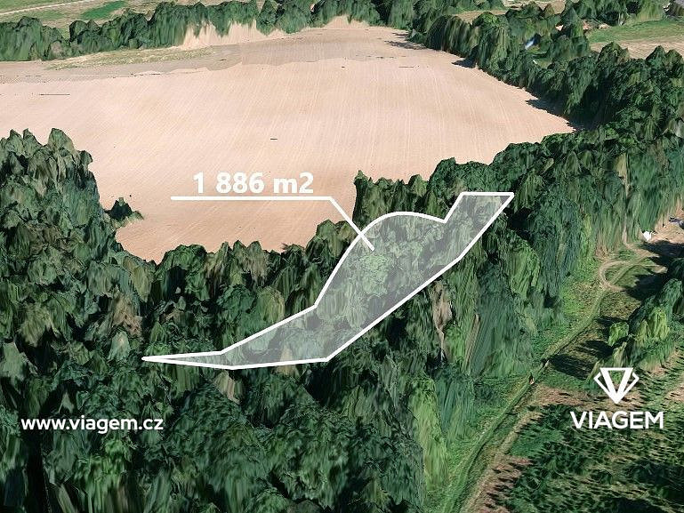 Prodej lesa 1 886 m²