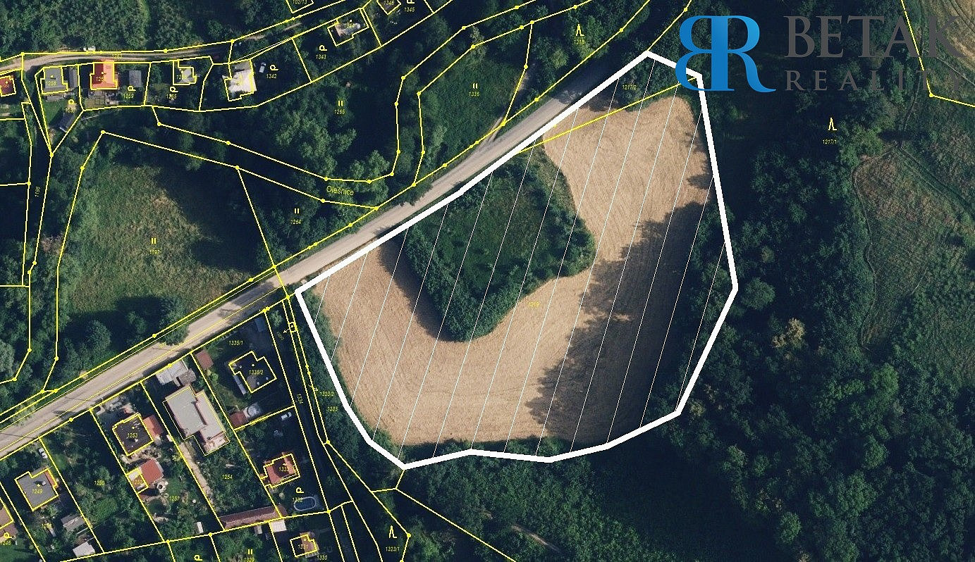 Prodej stavebního pozemku 14 217 m² – fotografie 4