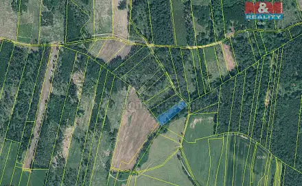 Prodej lesa 3 625 m², Jetětice, okres Písek
