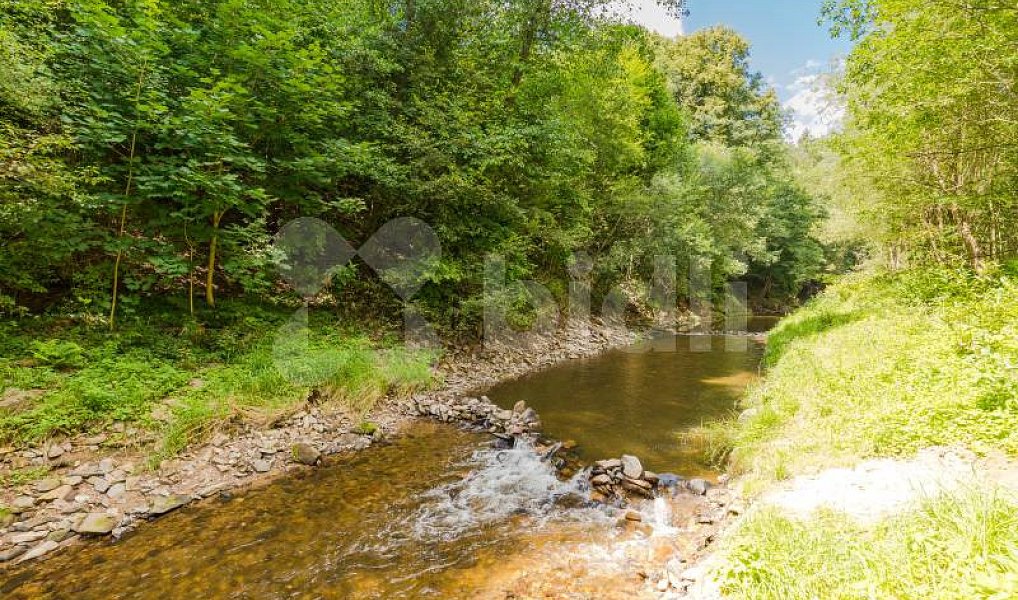 Prodej komerčního objektu (jiného typu) 12 398 m², Kájov – náhled fotky 28