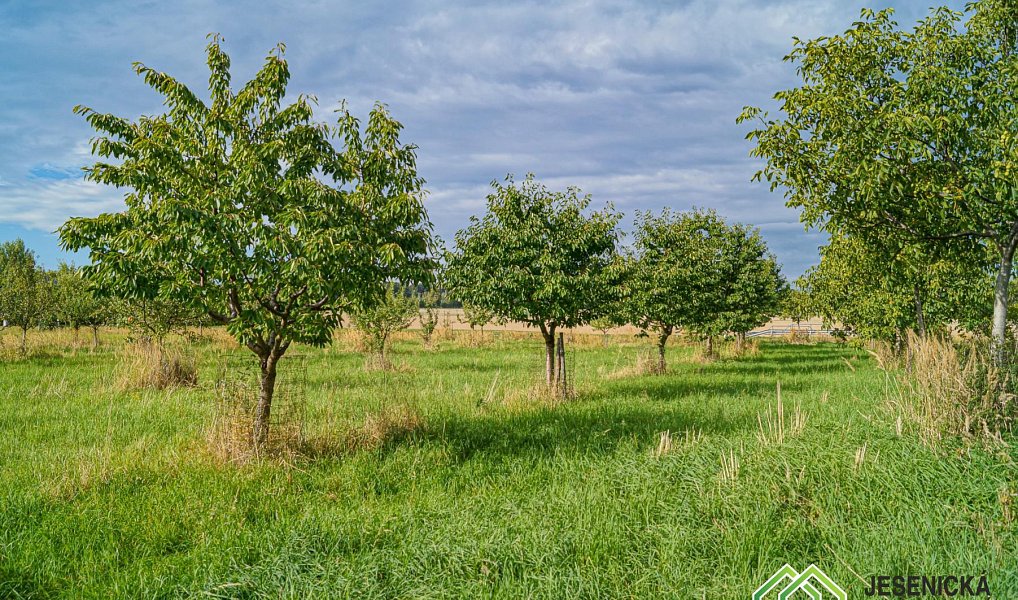 Prodej pole 16 809 m², Velké Kunětice – náhled fotky 18