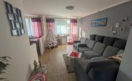Prodej bytu 3+1 55 m², K. H. Borovského, Most