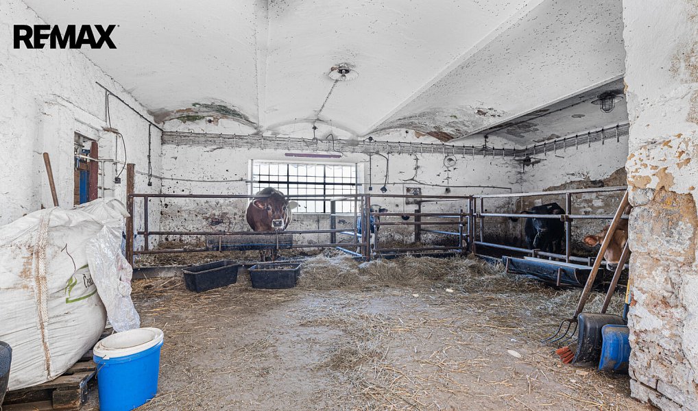 Prodej zemědělského objektu 244 m², Vitice – náhled fotky 6