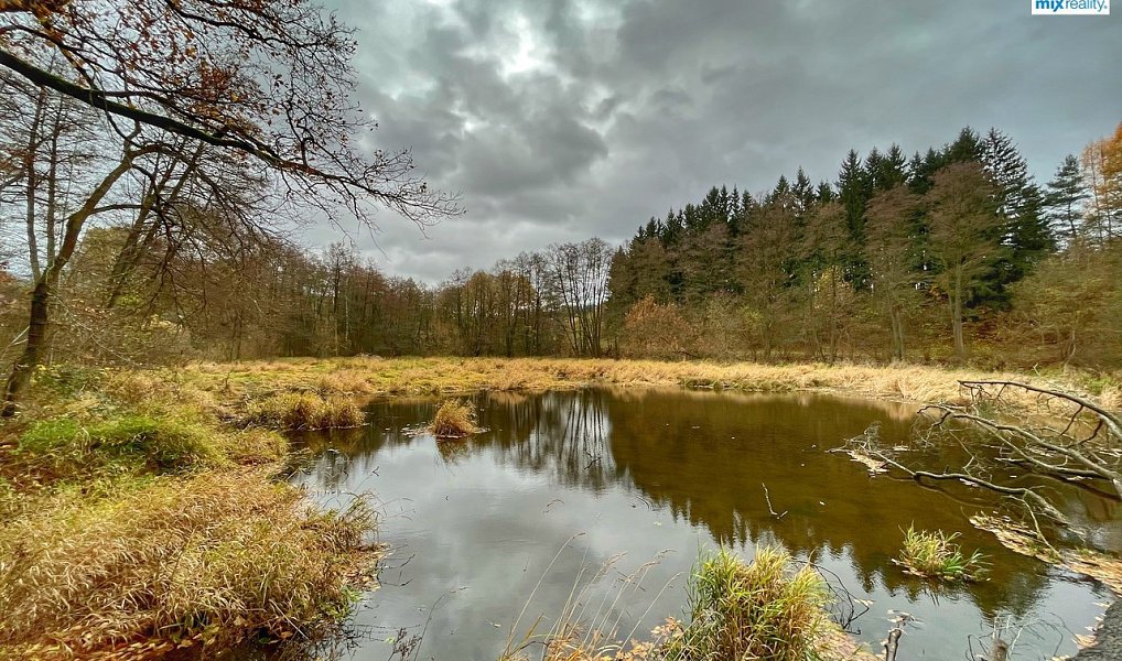 Prodej vodní plochy 14 487 m², Čmelíny – náhled fotky 13