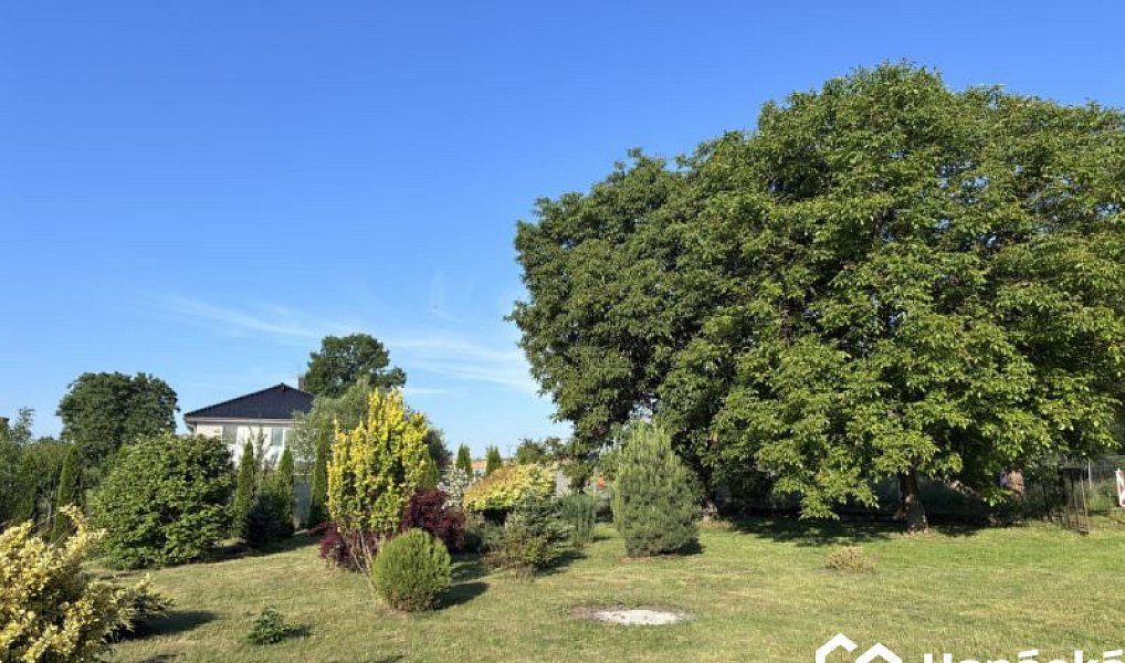 Prodej zahrady 3 994 m², Bělotín – náhled fotky 4
