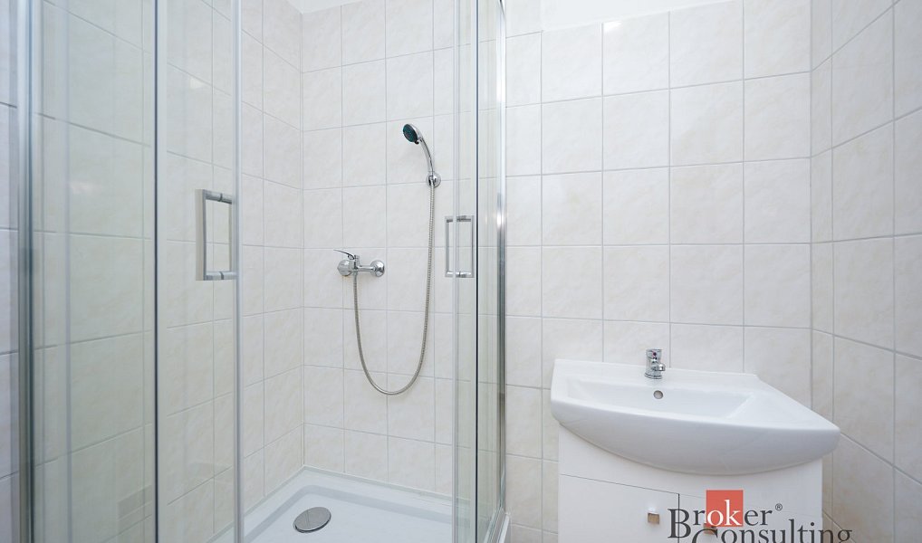 Pronájem bytu 2+kk 52 m², Mlékojedy – náhled fotky 10