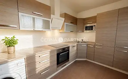 Pronájem bytu 2+1 53 m², 1. máje, Most