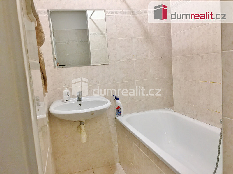 Pronájem bytu 1+1 41 m² — photo 4
