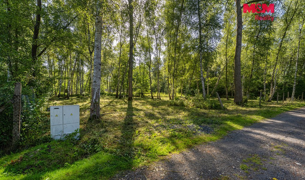 Prodej stavebního pozemku 3 825 m², Hradištko – náhled fotky 3