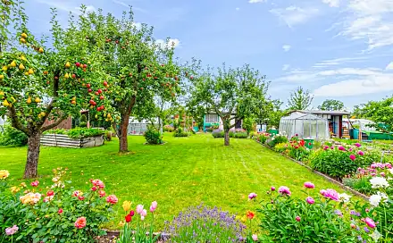 Prodej zahrady 399 m², Na Radouči, Mladá Boleslav