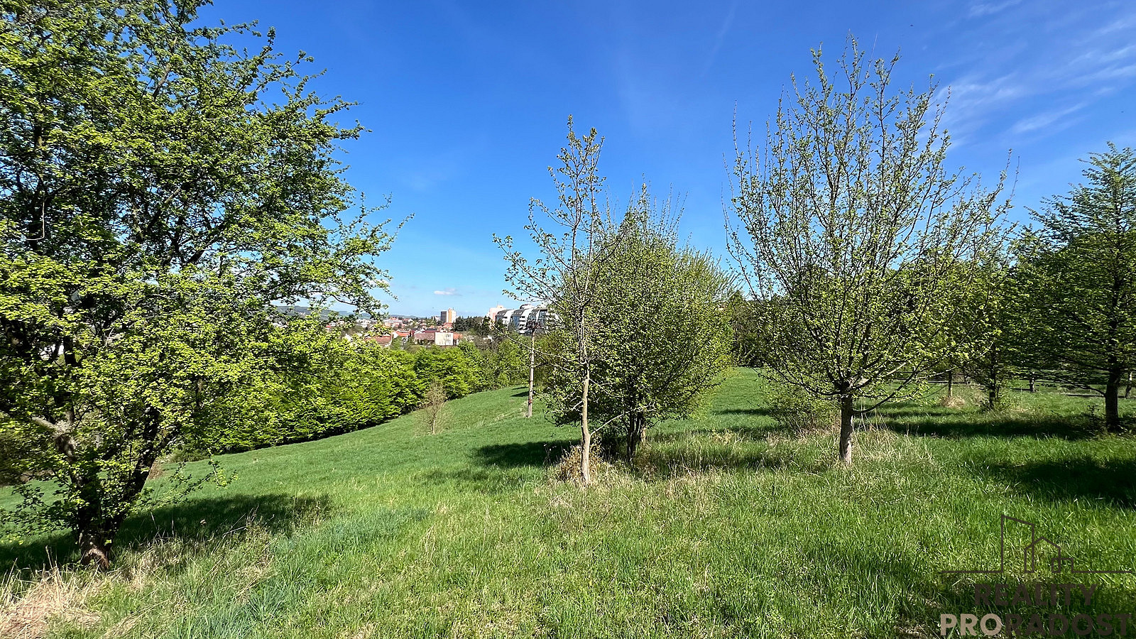 Prodej pozemku 10 598 m² — photo 2