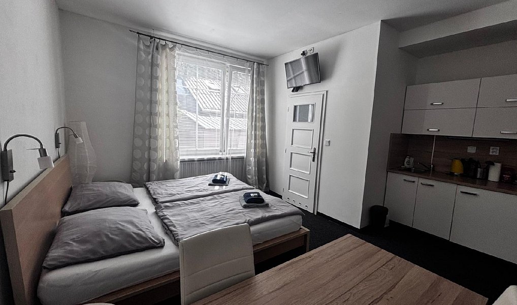 Pronájem bytu 1+kk 25 m², Ostrava – fotka 1 z 15